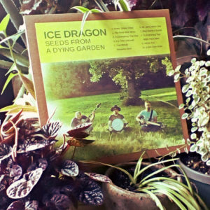 Ice Dragon «Seeds From A Dying Garden»